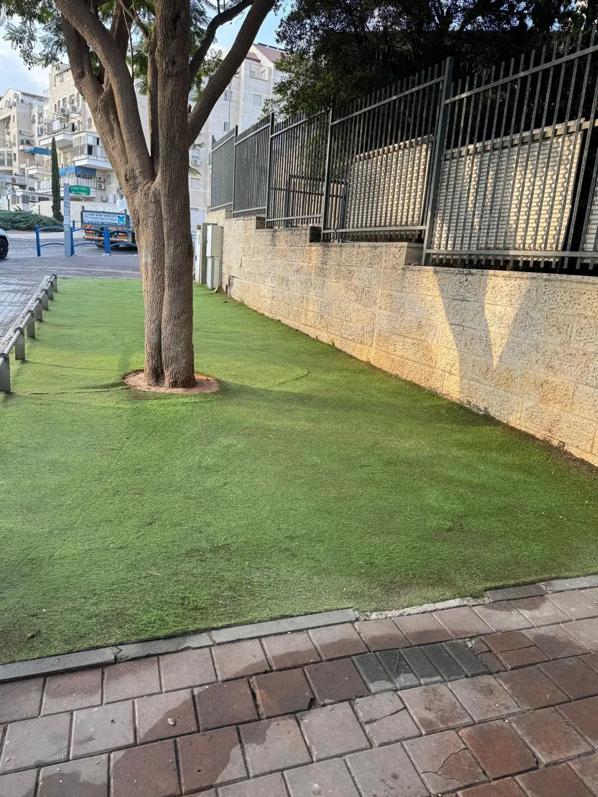 טיפול בשטחי דשא