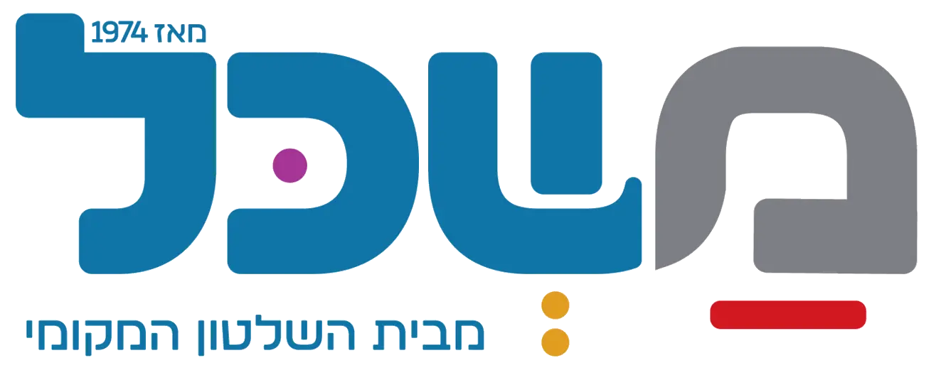 החברה למשק וכלכלה של השלטון המקומי